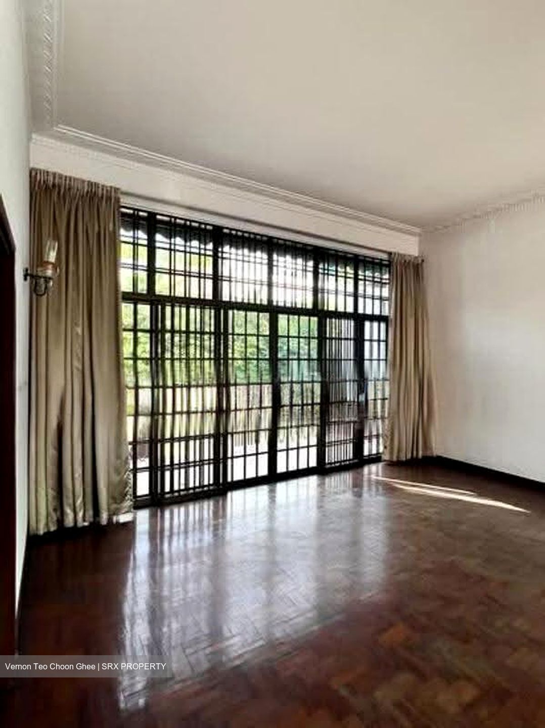 Leedon Park (D10), Detached #616734161
